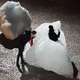Image for article titled To confront climate change, an artist has put melting icebergs in the center of Paris